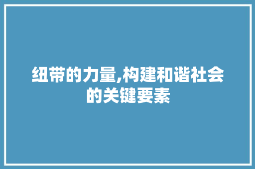 纽带的力量,构建和谐社会的关键要素