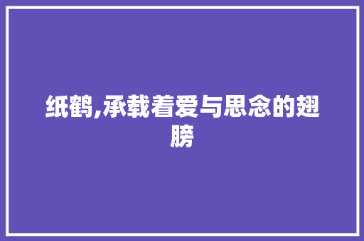 纸鹤,承载着爱与思念的翅膀