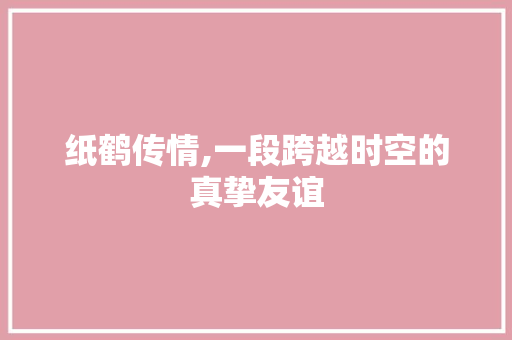 纸鹤传情,一段跨越时空的真挚友谊