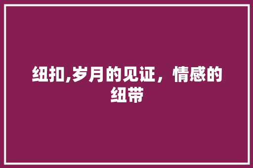 纽扣,岁月的见证，情感的纽带