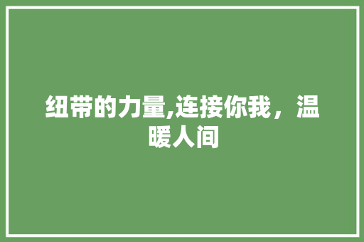 纽带的力量,连接你我，温暖人间