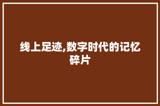 线上足迹,数字时代的记忆碎片