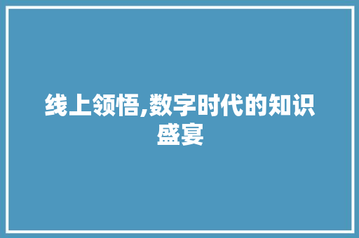 线上领悟,数字时代的知识盛宴