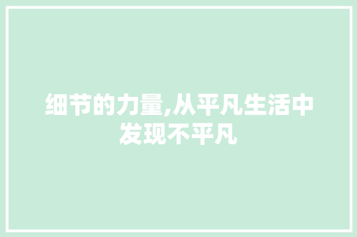 细节的力量,从平凡生活中发现不平凡