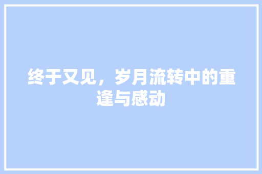 终于又见，岁月流转中的重逢与感动