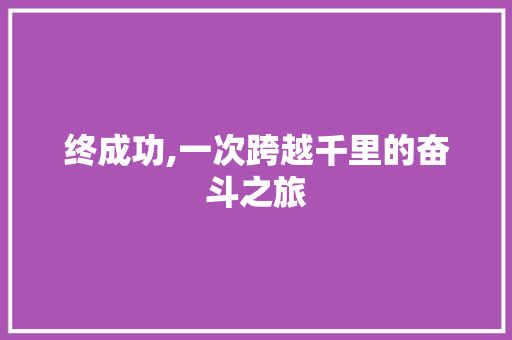 终成功,一次跨越千里的奋斗之旅