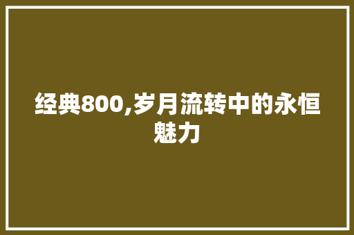 经典800,岁月流转中的永恒魅力