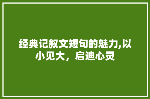 经典记叙文短句的魅力,以小见大，启迪心灵