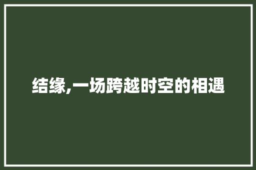 结缘,一场跨越时空的相遇