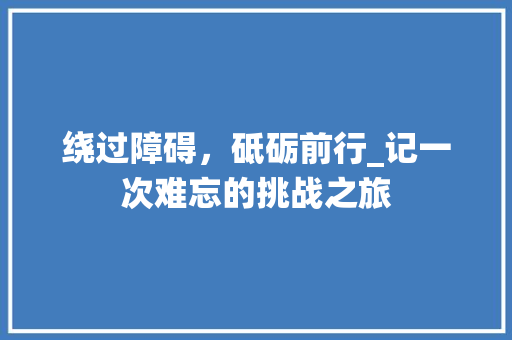 绕过障碍，砥砺前行_记一次难忘的挑战之旅 论文范文