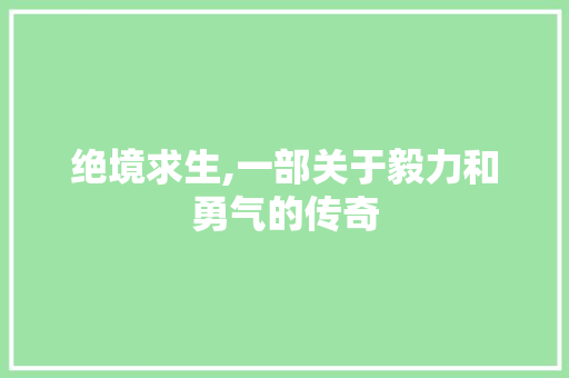 绝境求生,一部关于毅力和勇气的传奇