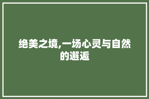 绝美之境,一场心灵与自然的邂逅