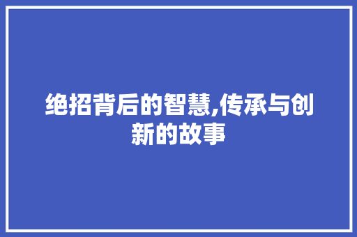 绝招背后的智慧,传承与创新的故事