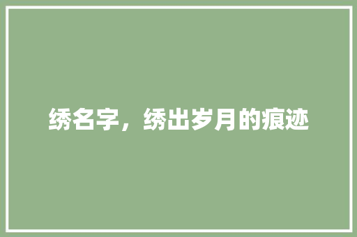 绣名字，绣出岁月的痕迹 报告范文