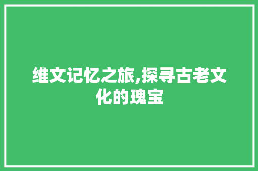 维文记忆之旅,探寻古老文化的瑰宝