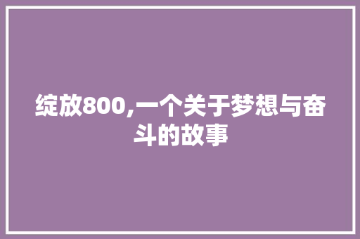 绽放800,一个关于梦想与奋斗的故事