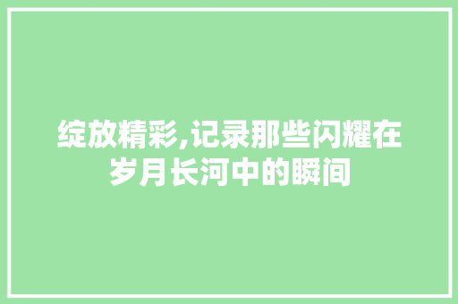 绽放精彩,记录那些闪耀在岁月长河中的瞬间