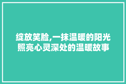 绽放笑脸,一抹温暖的阳光照亮心灵深处的温暖故事