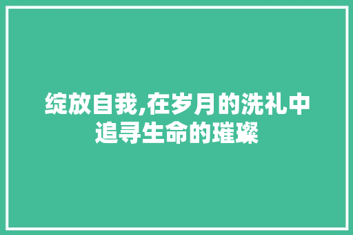 绽放自我,在岁月的洗礼中追寻生命的璀璨