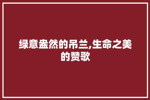 绿意盎然的吊兰,生命之美的赞歌