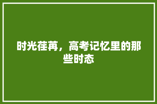 时光荏苒，高考记忆里的那些时态