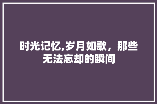 时光记忆,岁月如歌，那些无法忘却的瞬间