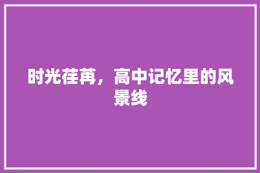 时光荏苒，高中记忆里的风景线