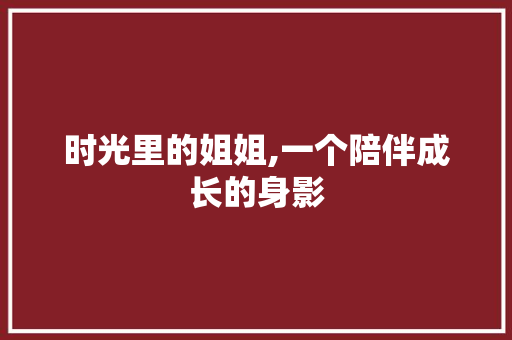 时光里的姐姐,一个陪伴成长的身影