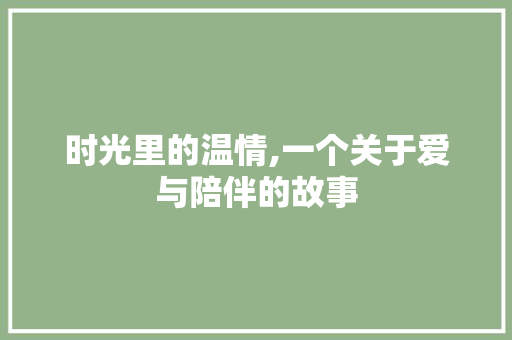 时光里的温情,一个关于爱与陪伴的故事