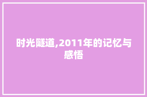 时光隧道,2011年的记忆与感悟