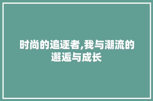 时尚的追逐者,我与潮流的邂逅与成长