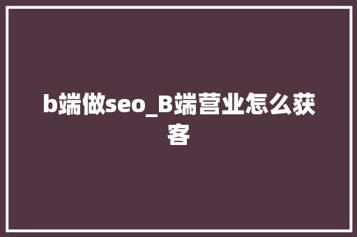 b端做seo_B端营业怎么获客 简历范文