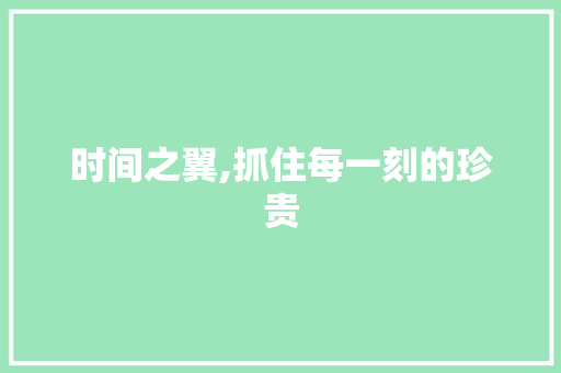 时间之翼,抓住每一刻的珍贵