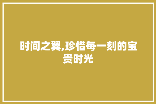 时间之翼,珍惜每一刻的宝贵时光