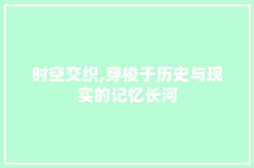 时空交织,穿梭于历史与现实的记忆长河