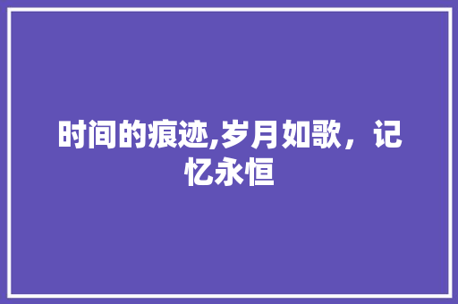 时间的痕迹,岁月如歌，记忆永恒