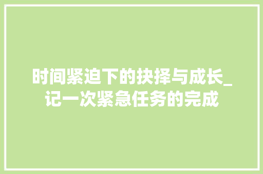 时间紧迫下的抉择与成长_记一次紧急任务的完成