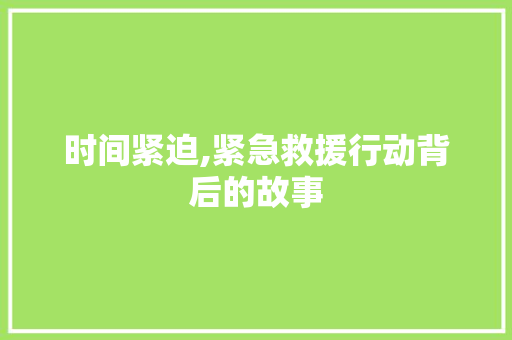 时间紧迫,紧急救援行动背后的故事