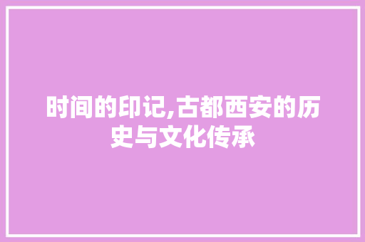 时间的印记,古都西安的历史与文化传承