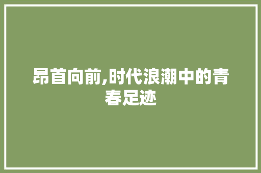 昂首向前,时代浪潮中的青春足迹 申请书范文