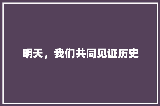 明天，我们共同见证历史 学术范文