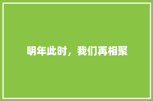 明年此时，我们再相聚