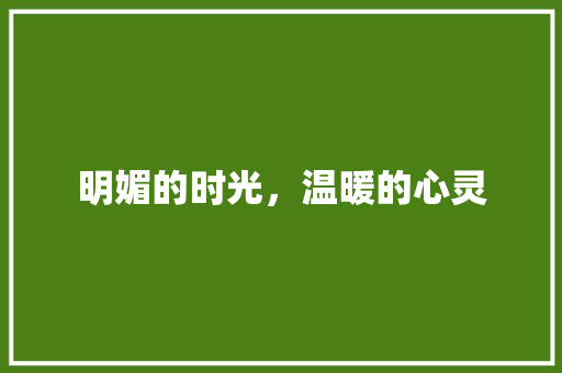 明媚的时光，温暖的心灵