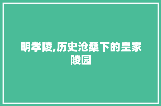 明孝陵,历史沧桑下的皇家陵园