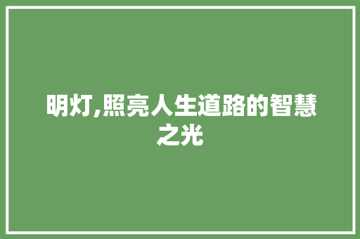 明灯,照亮人生道路的智慧之光