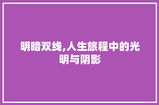 明暗双线,人生旅程中的光明与阴影