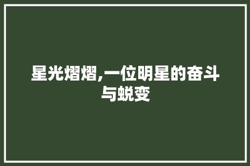 星光熠熠,一位明星的奋斗与蜕变