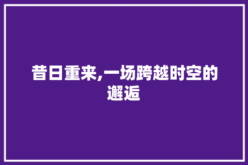 昔日重来,一场跨越时空的邂逅