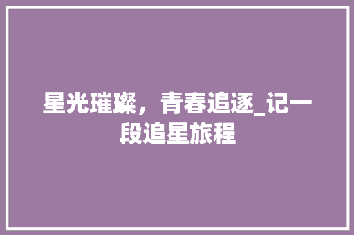 星光璀璨，青春追逐_记一段追星旅程