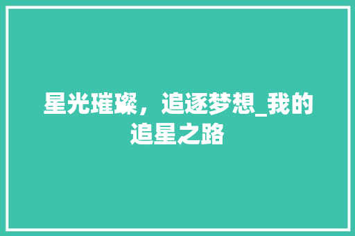 星光璀璨，追逐梦想_我的追星之路